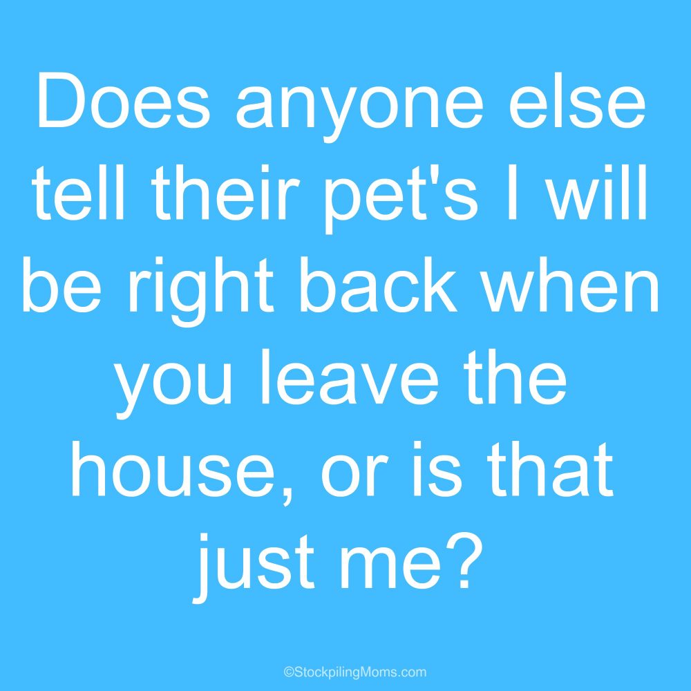 Are you a pet parent?