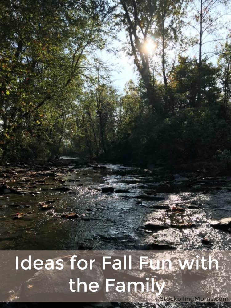 Ideas for Fall Fun With The Family