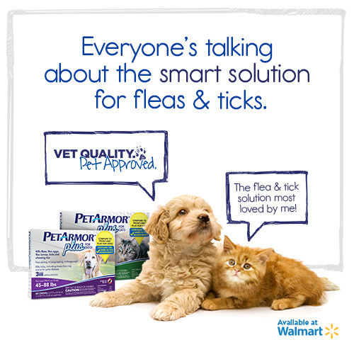 PetArmor Plus Provides Vet Quality Flea and Tick Prevention