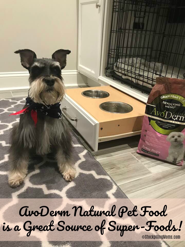 AvoDerm Natural Pet Food is a Great Source of Super-Foods!