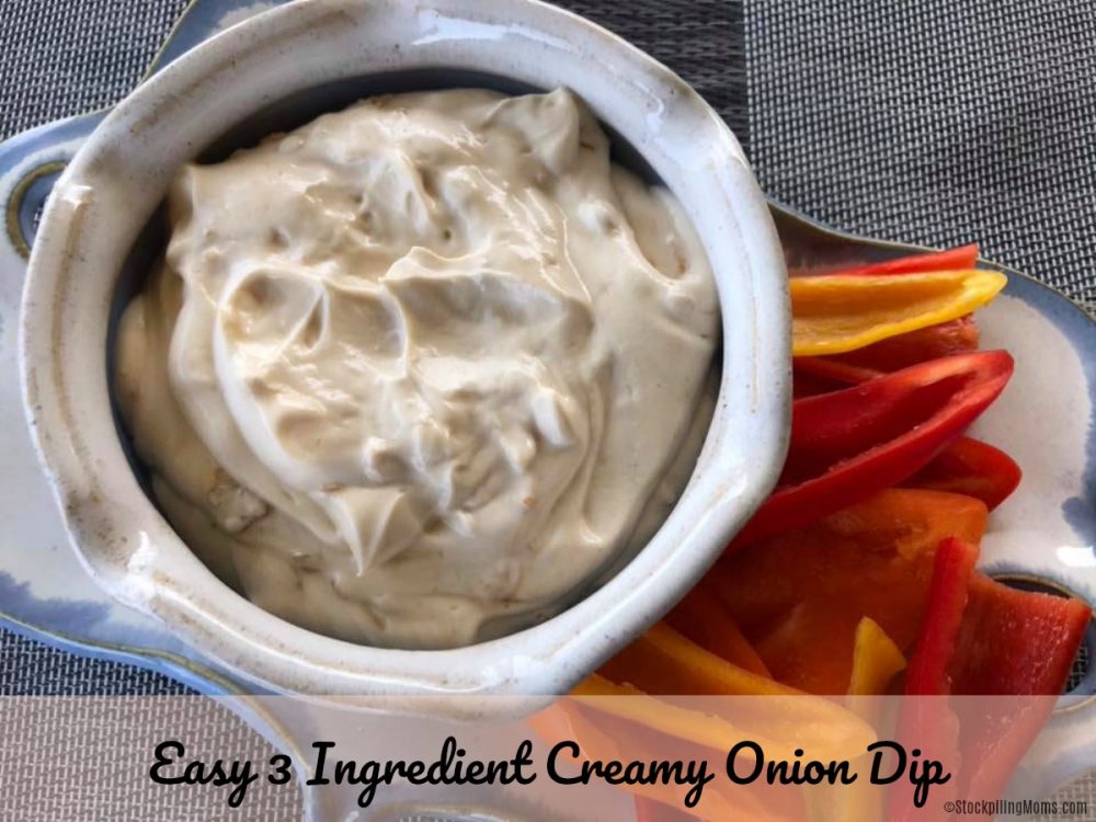 Easy 3 Ingredient Creamy Onion Dip