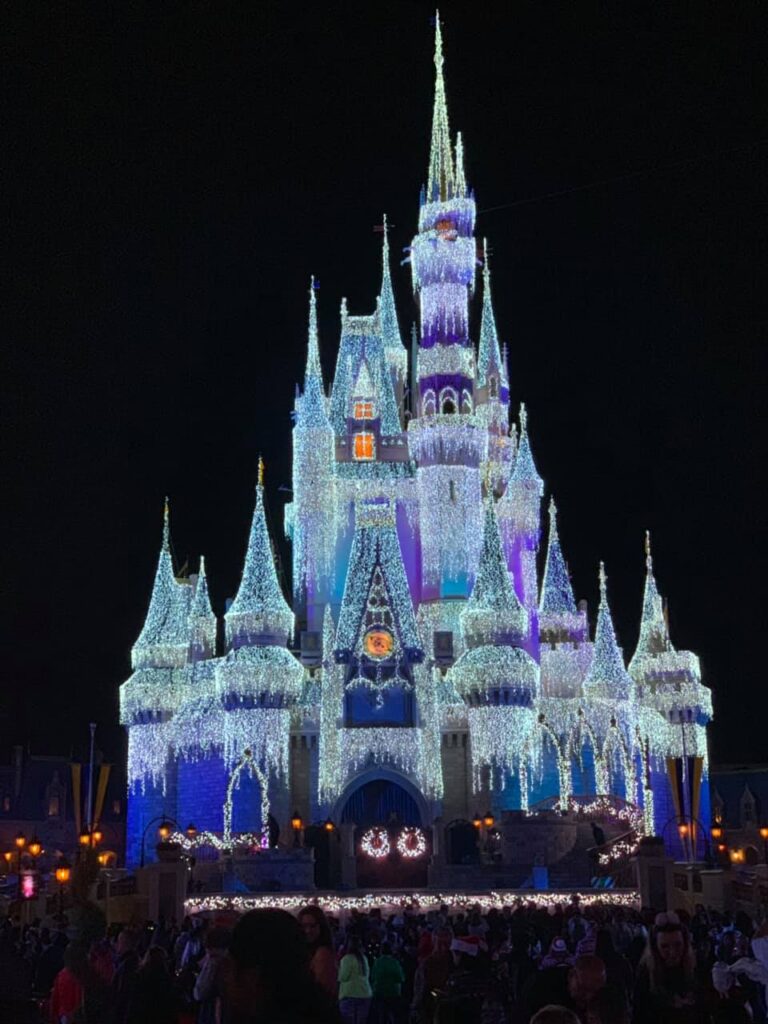 Is Mickey's Christmas Party worth it? - STOCKPILING MOMS™