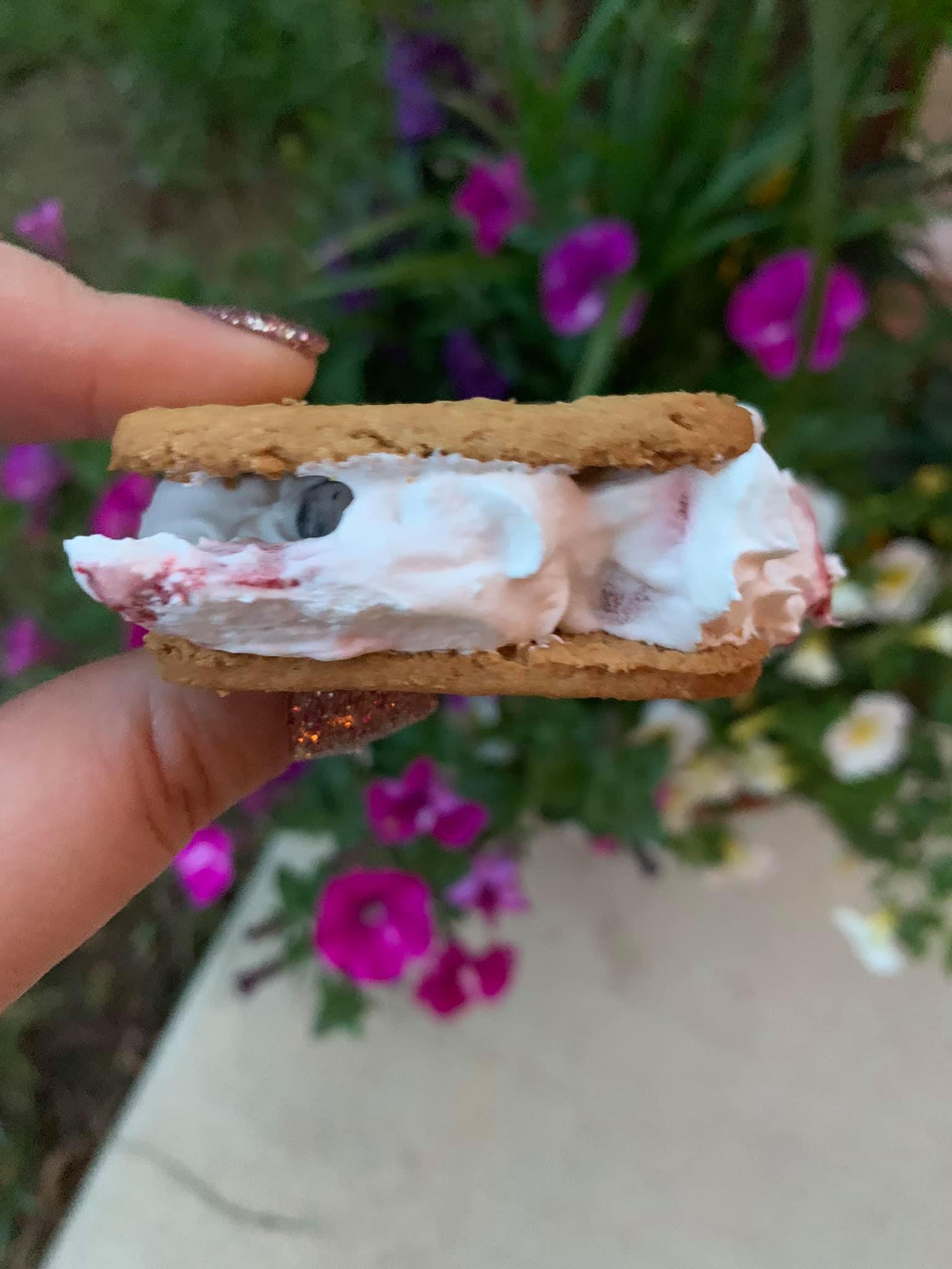 Frozen Graham Cracker Treats