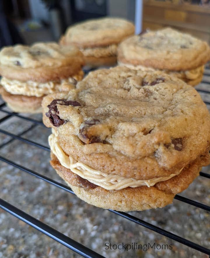 Chocolate Chip Peanut Butter Doozy